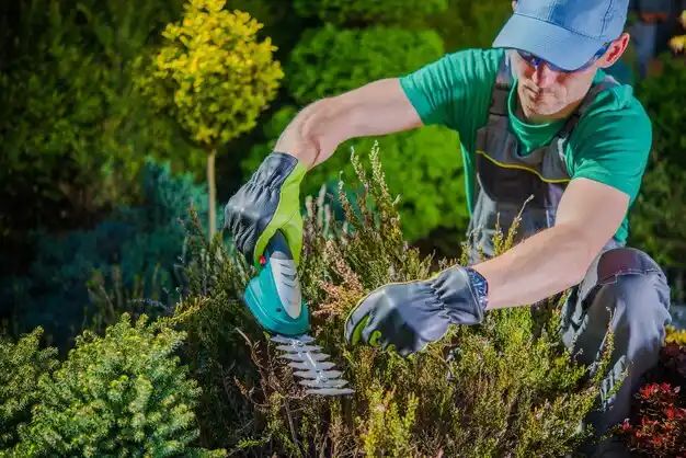 landscaping services Altmar